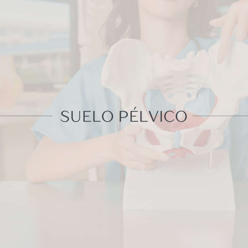Suelo Pélvico