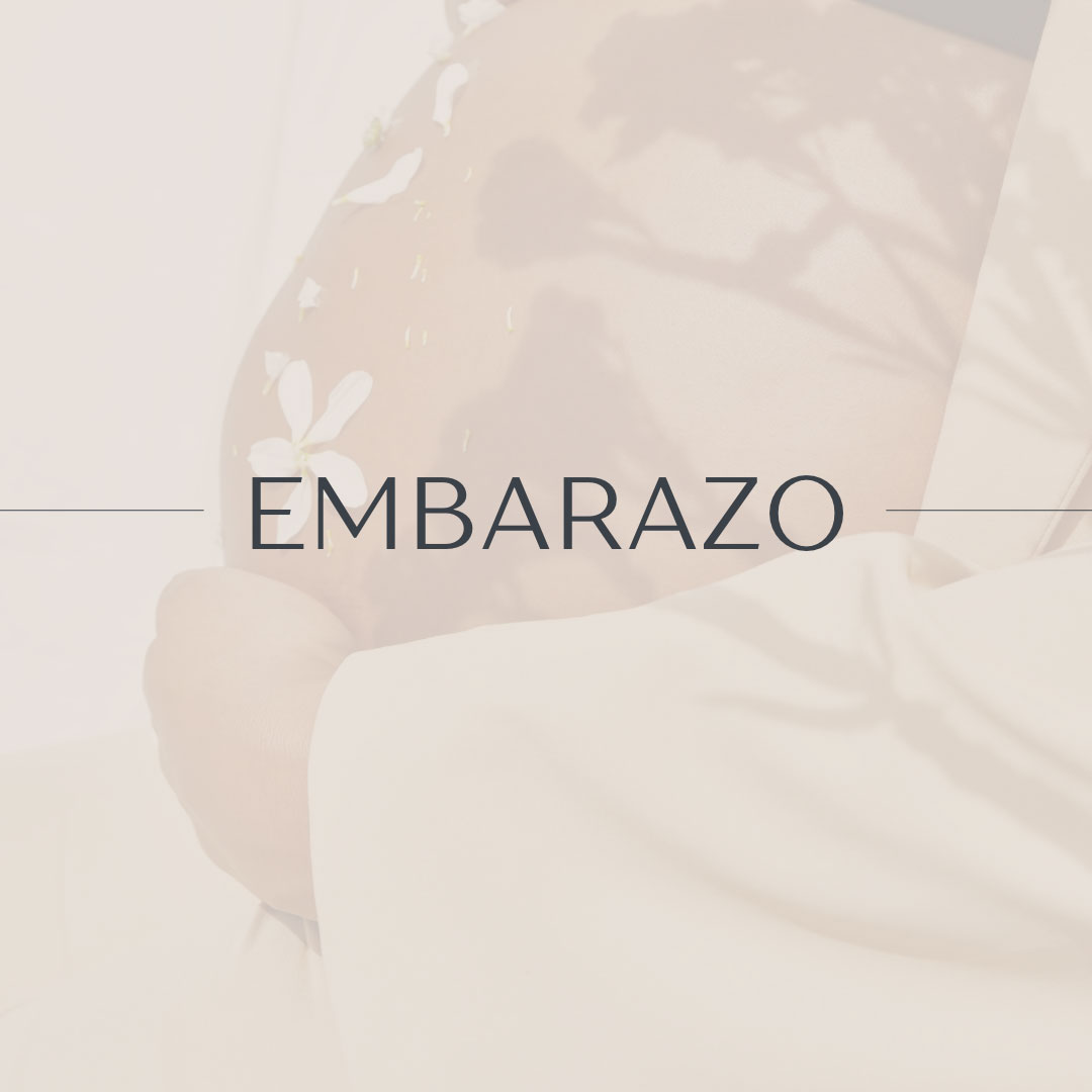 Lee más sobre el artículo Embarazo