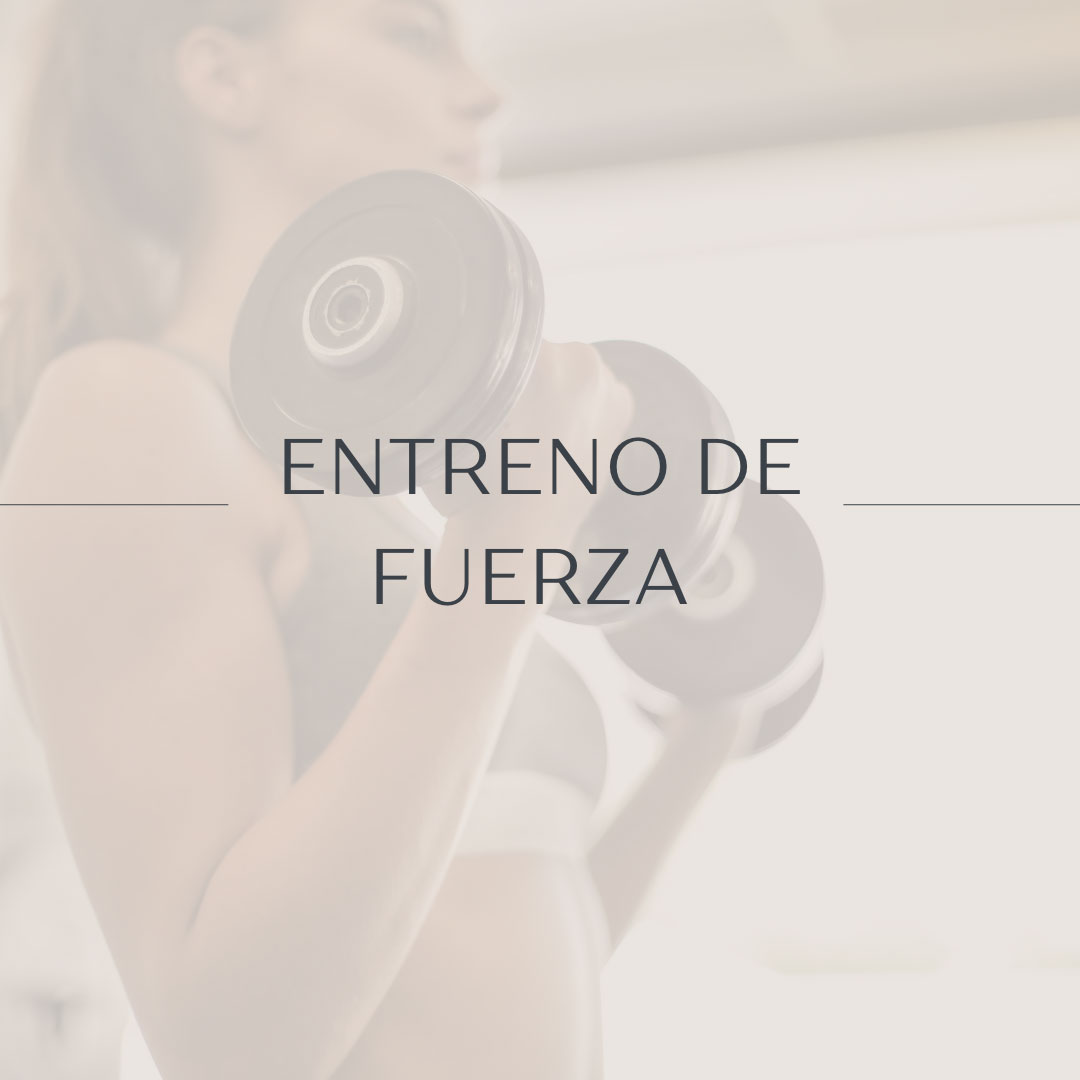 Entrenos de Fuerza